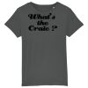Kids Organic Cotton T Shirt Thumbnail